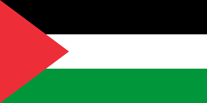 Palestine Flag with own image
